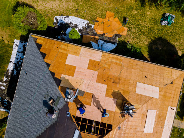 Best Metal Roofing Contractor  in Sault Ste Marie, MI