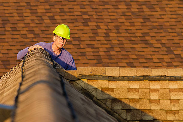 Best Residential Roofing Contractor  in Sault Ste Marie, MI