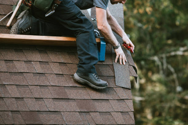 Best Roof Leak Repair  in Sault Ste Marie, MI