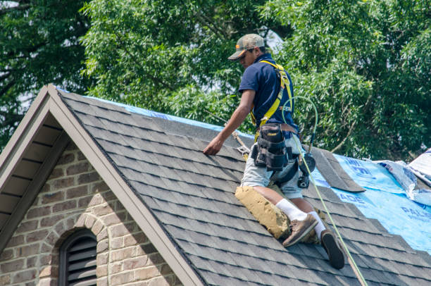 Best Emergency Roof Repair  in Sault Ste Marie, MI